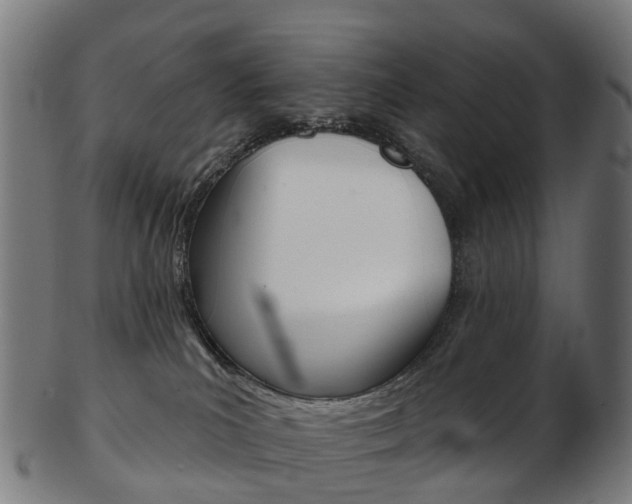 X0000103490039200809121000