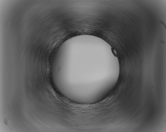 X0000103490040200809121000