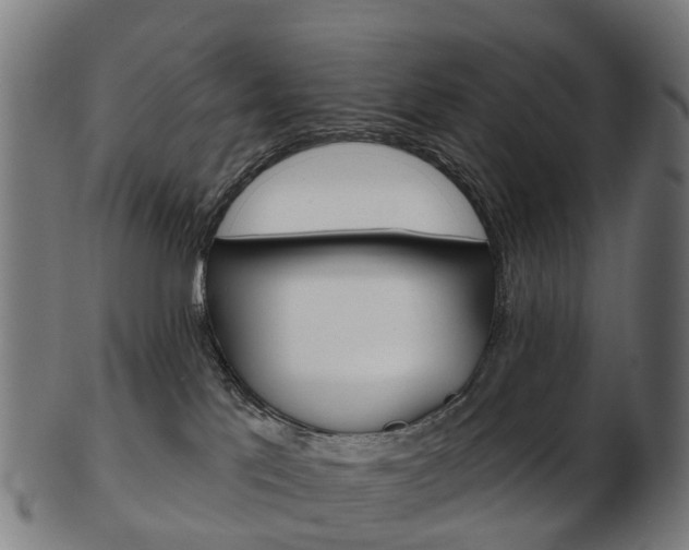 X0000103490041200809121000