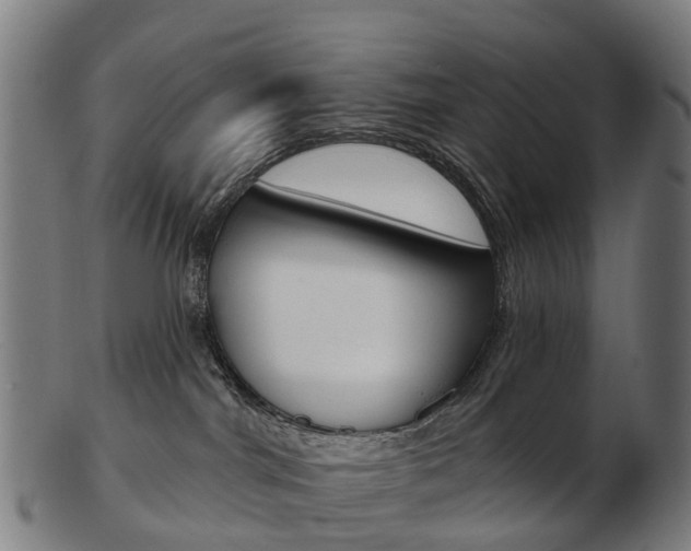 X0000103490044200809121000