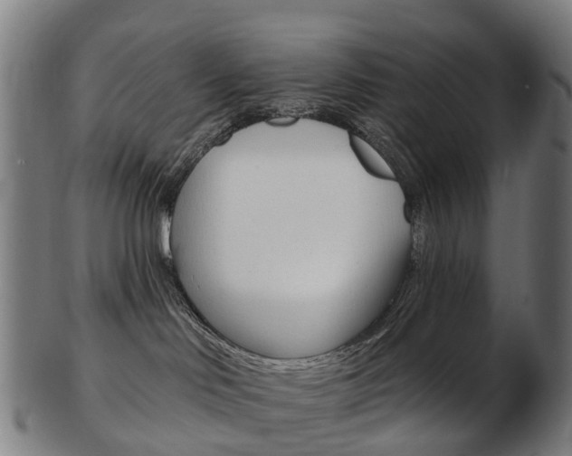 X0000103490046200809121000