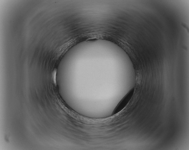 X0000103490047200809120959