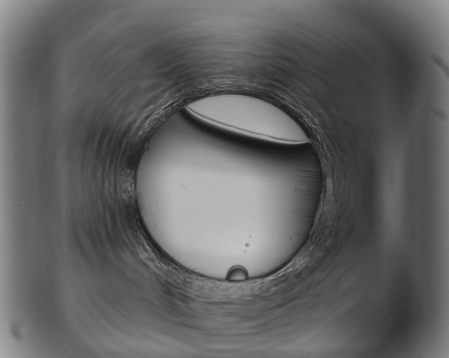 X0000103490048200809120959