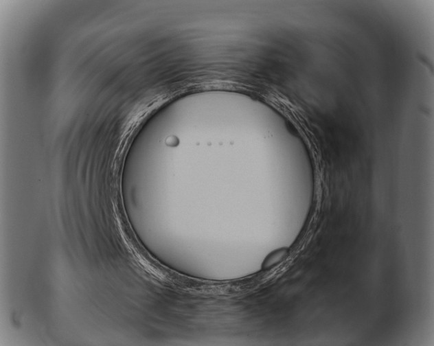 X0000103490049200809120959