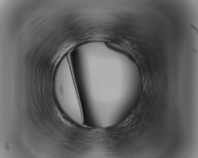 X0000103490050200809120959