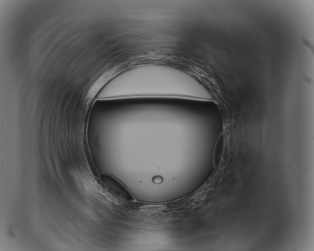 X0000103490051200809120959