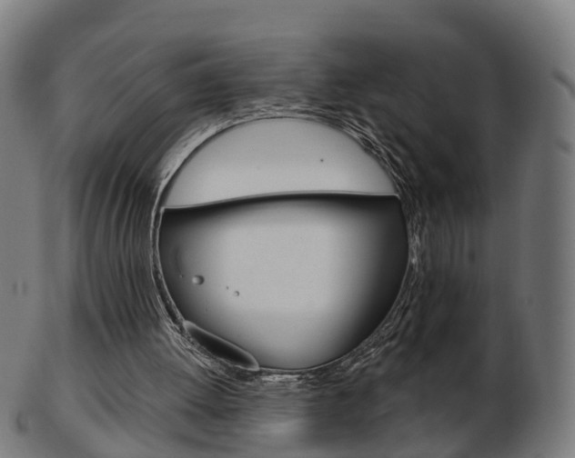 X0000103490052200809120959