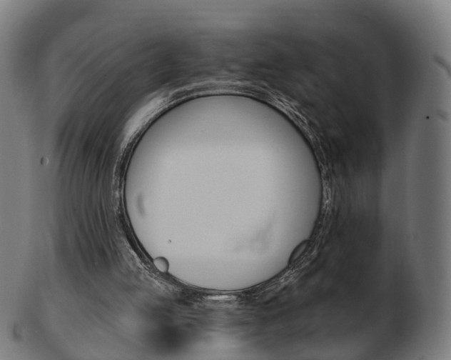 X0000103490053200809120959