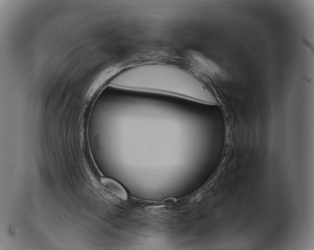 X0000103490054200809120959