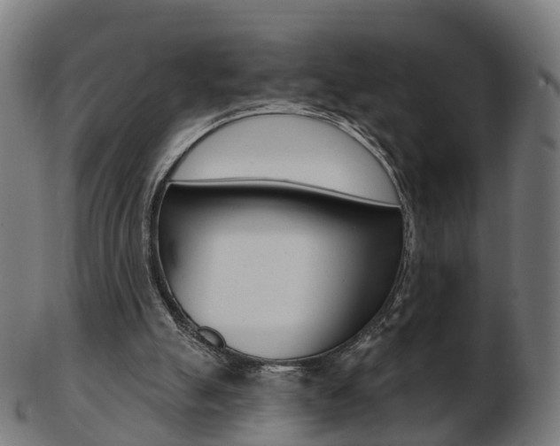 X0000103490055200809120959