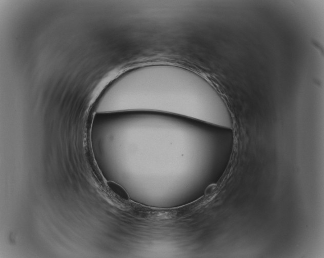 X0000103490056200809120959