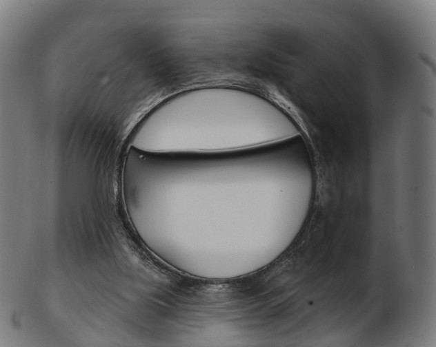 X0000103490059200809120959