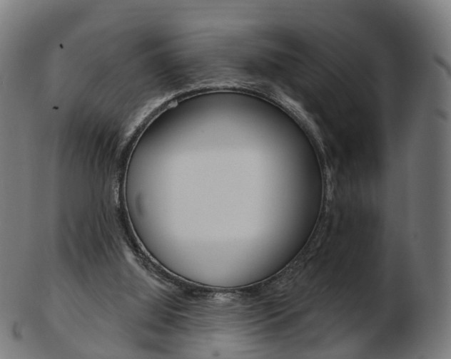 X0000103490060200809120959