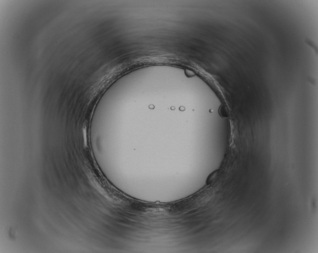 X0000103490061200809120959