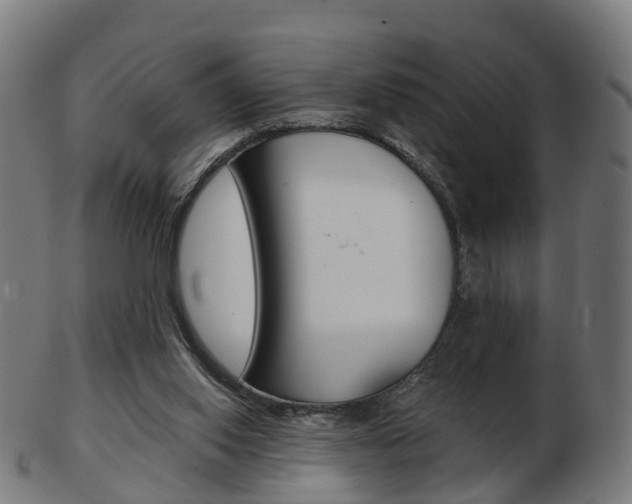 X0000103490062200809120959