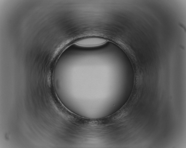 X0000103490064200809120959