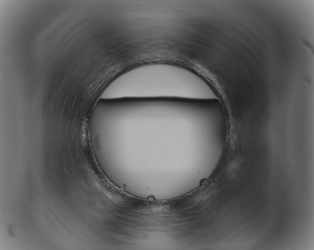 X0000103490065200809120959