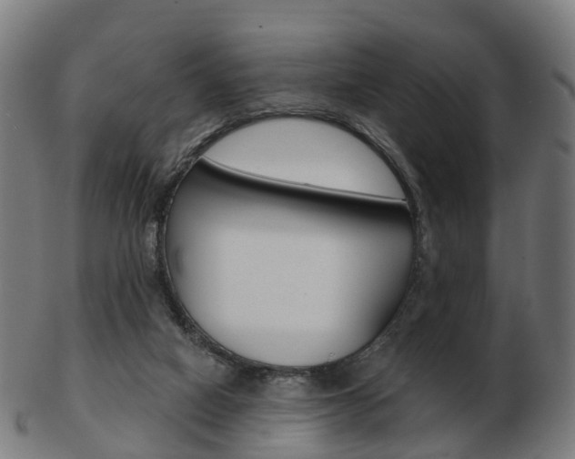 X0000103490066200809120959