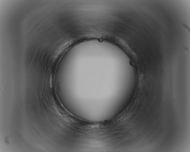 X0000103490068200809120959