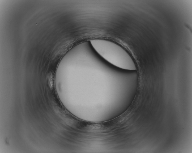 X0000103490069200809120959