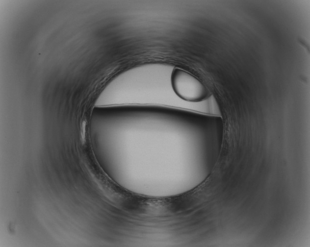 X0000103490070200809120959