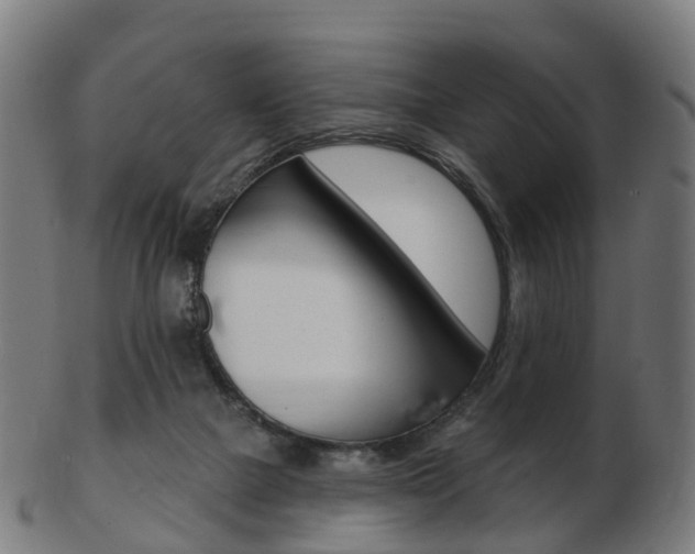 X0000103490073200809120959