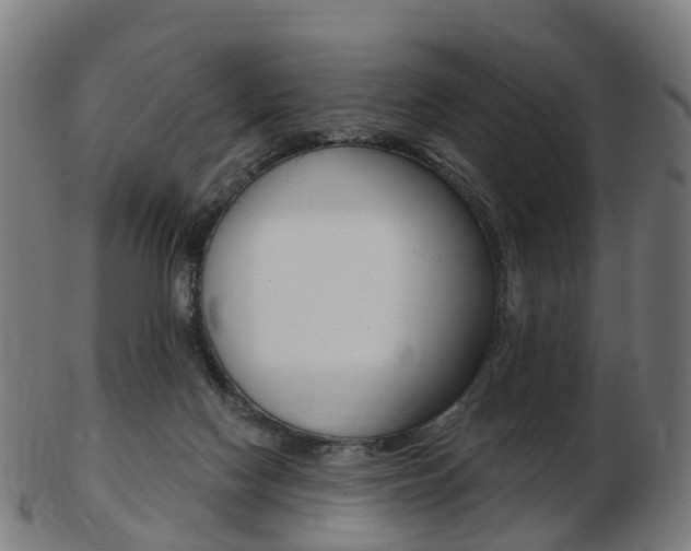 X0000103490074200809120959