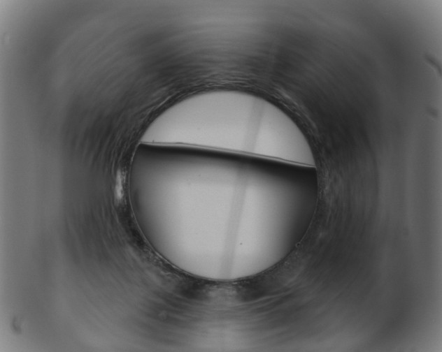 X0000103490075200809120959