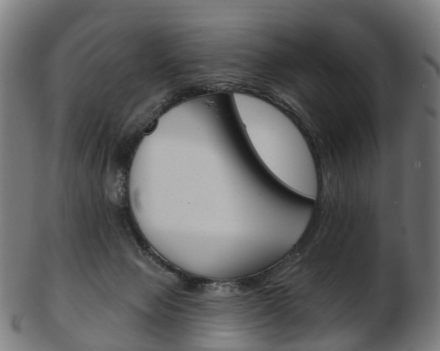 X0000103490077200809120959