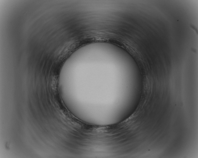 X0000103490078200809120959