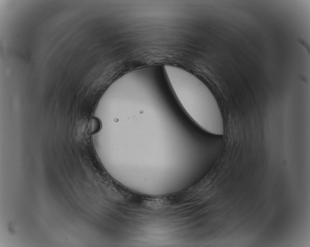 X0000103490079200809120959