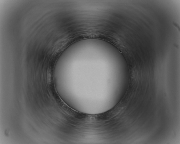 X0000103490080200809120959