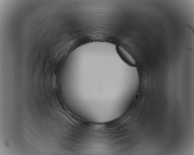 X0000103490081200809120959