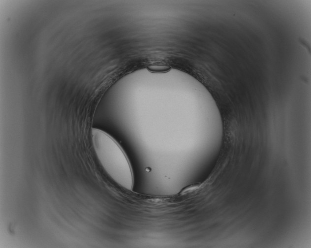 X0000103490082200809120959