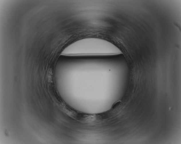 X0000103490083200809120959