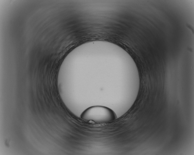 X0000103490084200809120959