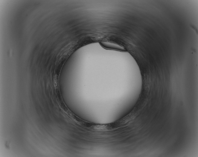 X0000103490085200809120959