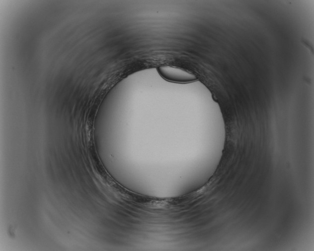 X0000103490086200809120959