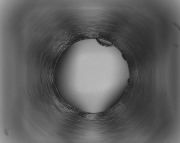 X0000103490088200809120959