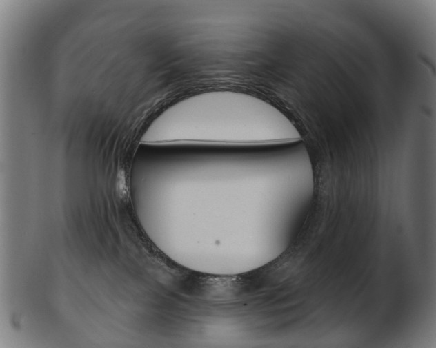 X0000103490089200809120959