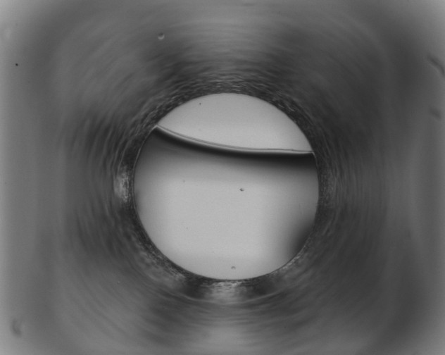 X0000103490090200809120959