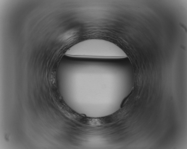 X0000103490091200809120959