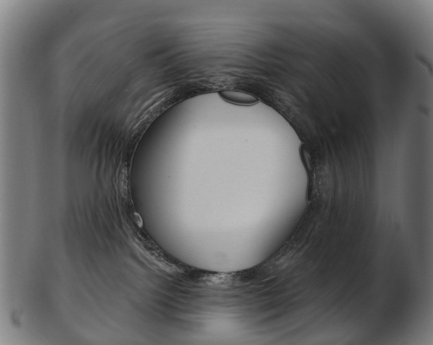 X0000103490092200809120959