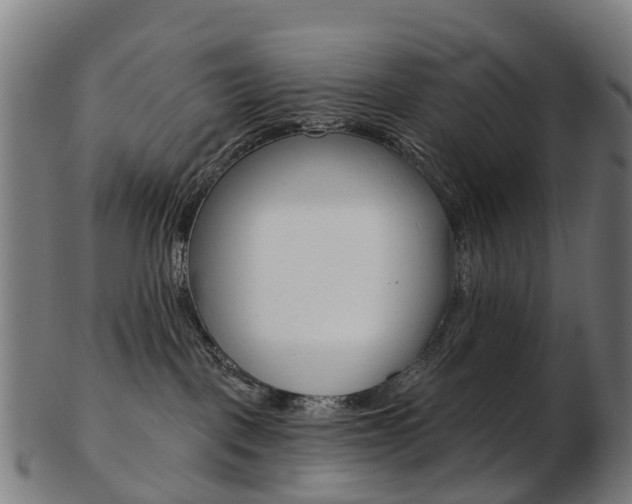 X0000103490093200809120959