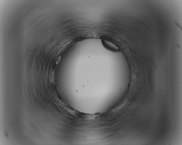 X0000103490096200809120959