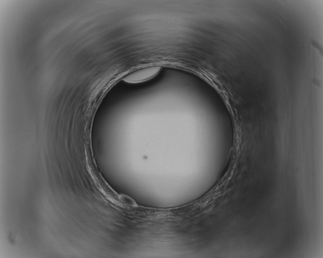 X0000103490097200809120959