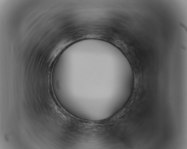 X0000103490098200809120959