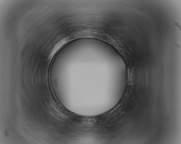 X0000103490099200809120959