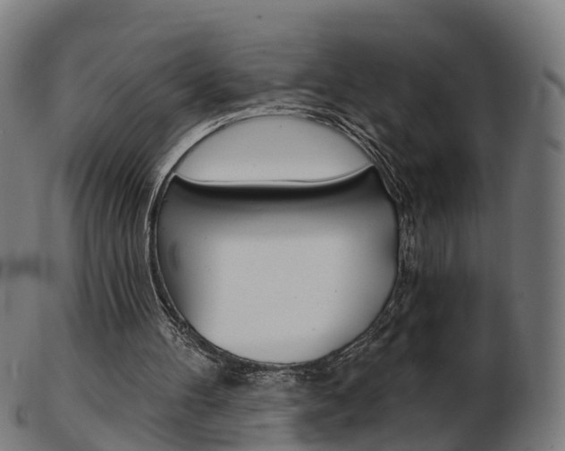 X0000103490100200809120959