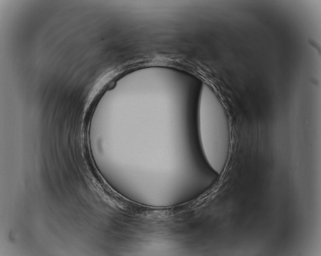 X0000103490102200809120959